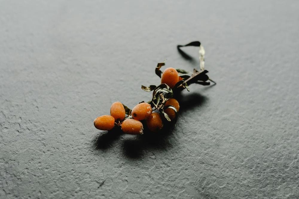 sea buckthorn